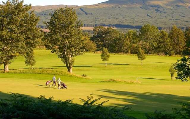 Cosy Rowan woodland lodge no3