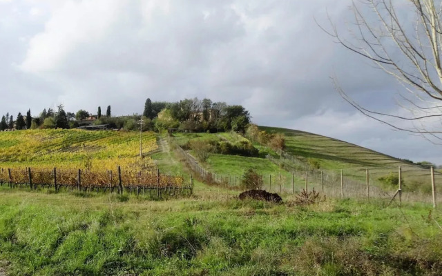 Fattoria Bio Pieve a Salti, Montalcino