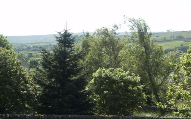 Westgate Manor