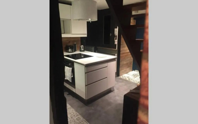 T3 duplex industriel hyper centre ville historique