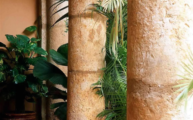 Frances Santo Domingo Mgallery Collection