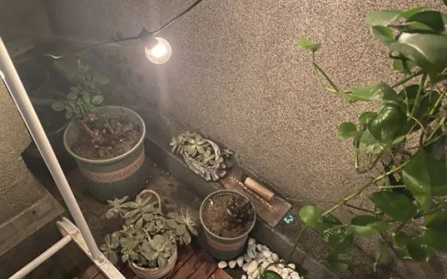 Shanghai Mier Cinema Apartment