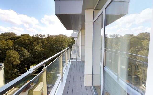 Rint - Centrum Leszczynskiego