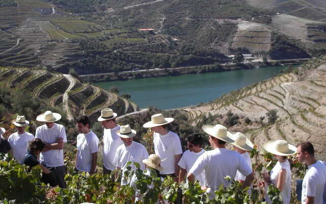 Quinta Nova Winery House - Relais & Châteaux