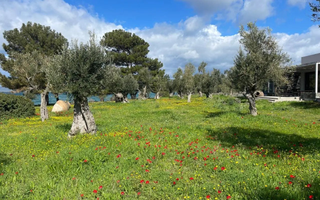 Villa Port Olivier