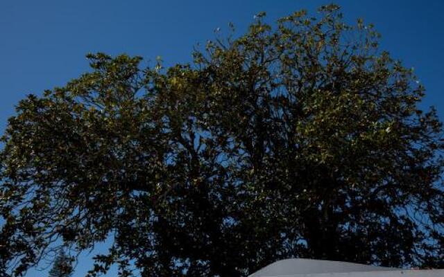 Apartment Horta Frijoc