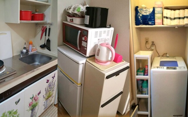 Shinjuku Shin Okubo house