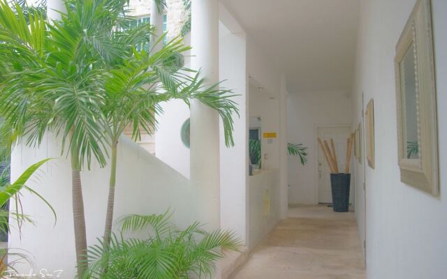 Nasim Condo Hotel acceso Gratis Beach Club, a metros 5th Avenida