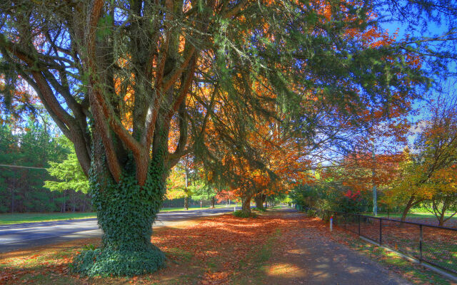 Chestnut Tree Holiday Apartments