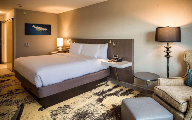 Hilton Garden Inn Pittsburgh Airport