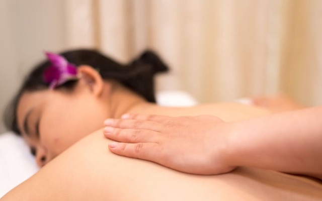 Chez Mimosa Hoi An - LUA Retreat