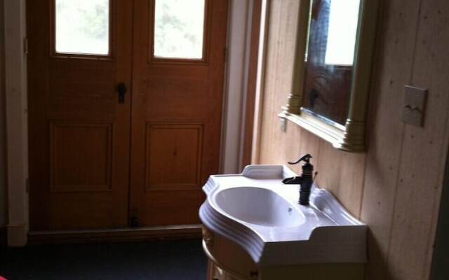 Windswept on the Trent