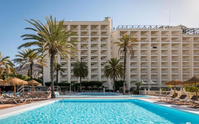 Moon Dreams Portomagno