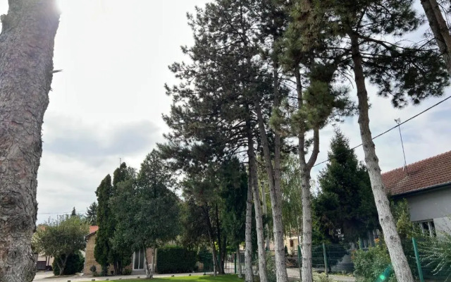 Apartmani Bezdan