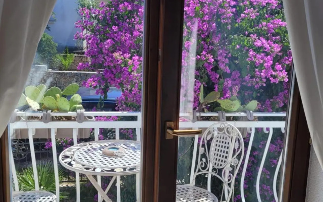 Apartmán Brački cvijet