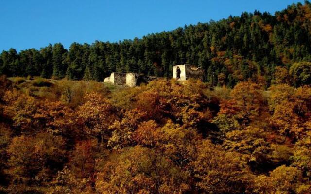 Guest House Tower