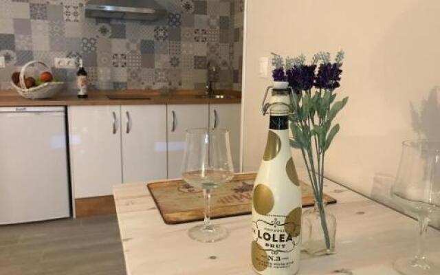 Hotel Boutique Albussanluis