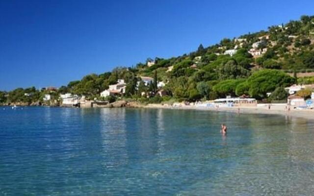 Appartement Le Lavandou, 1 pièce, 4 personnes - FR-1-251-187