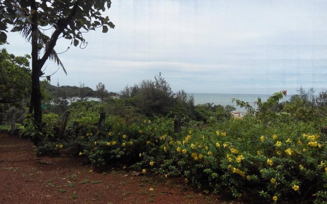 Agonda Dream View