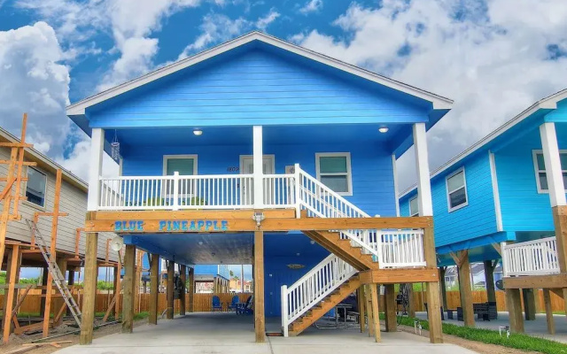 Blue Pineapple House
