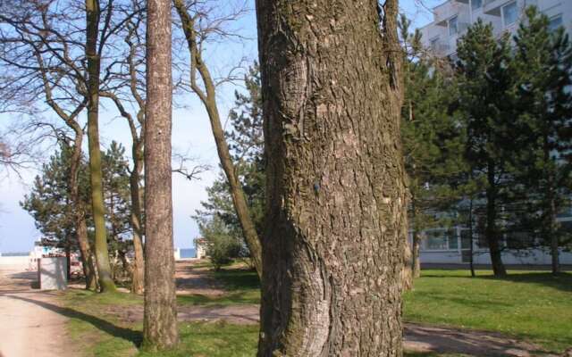 Holiday Apartment Seahorse