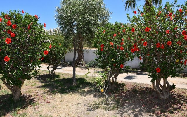 Kos Olympia Apartments at Lambi Beach