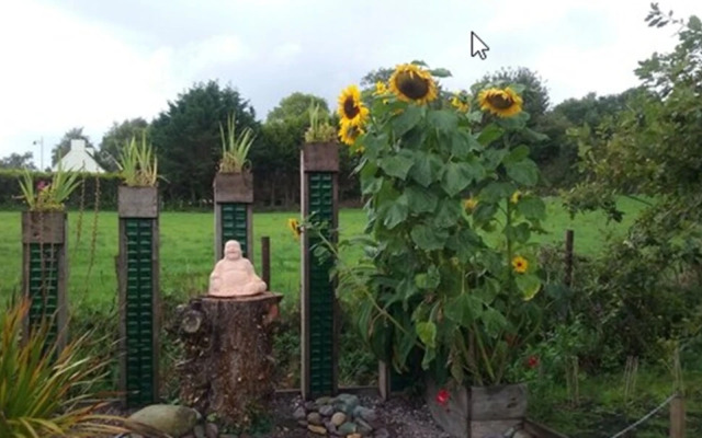 The Rose Garden Bed & Breakfast and Cafe
