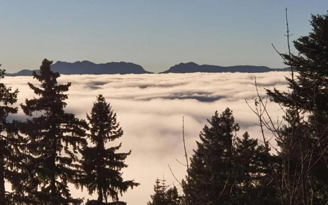 Serene Alpine Stay for 6 Guests