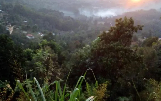Lushoto Pazuri
