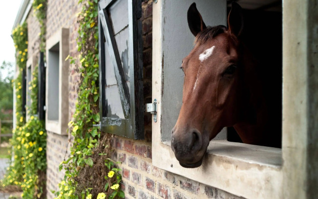 Country House at Kay & Monty