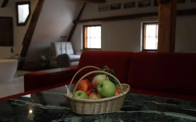 Hotel Svamberský Dum