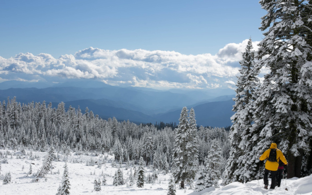 Saint George Palace Bansko Aparthotel