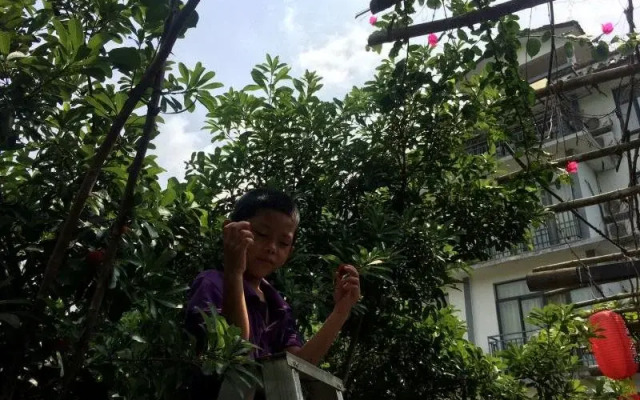Yangshuo Ecofarm Lodge