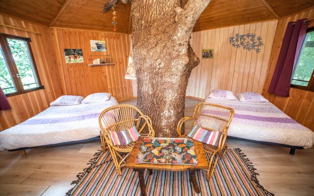 Camping - Chambres d'hôtes Insolites