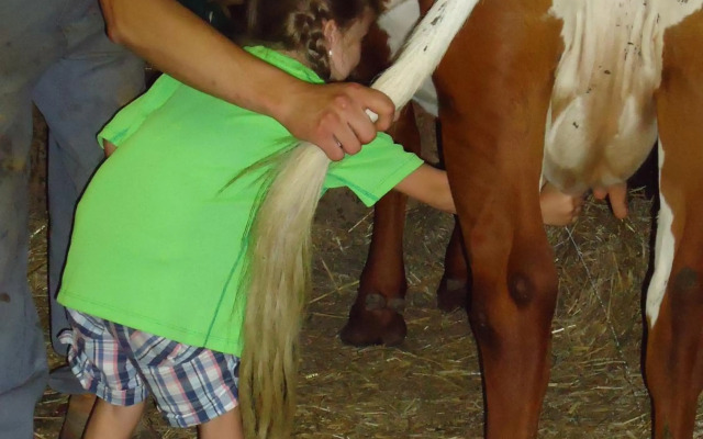 Appartement Einödberg