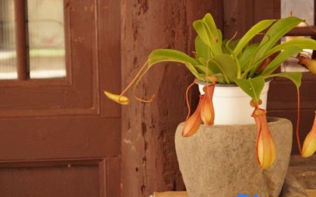 Cuanshe Boutique Hostel