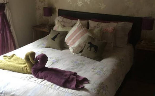 Devon's Duck n Dane B&B