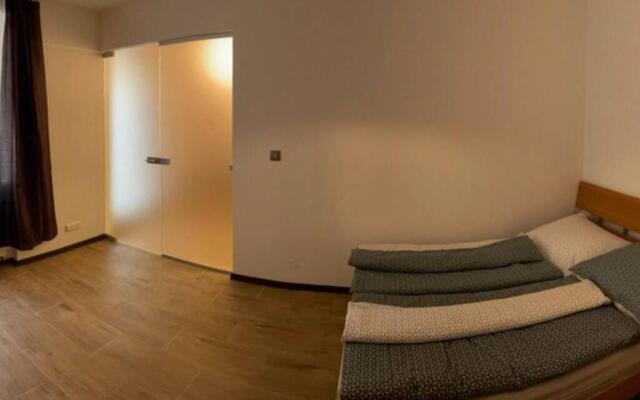 Newly renovated 2 rooms apartment downtown Nitra