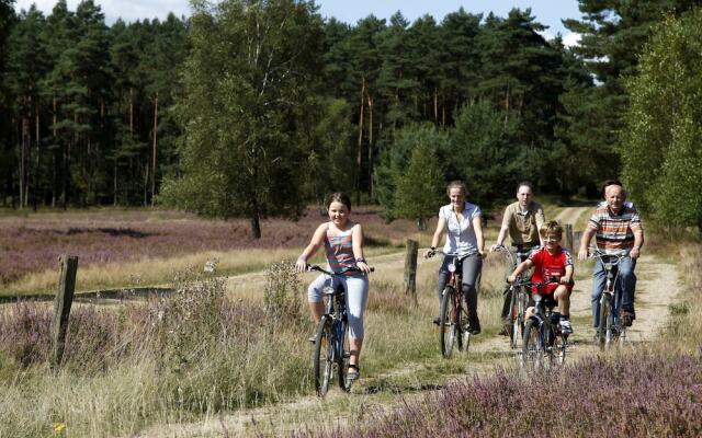 Ferienhof Cohrs - Ferienhäuser