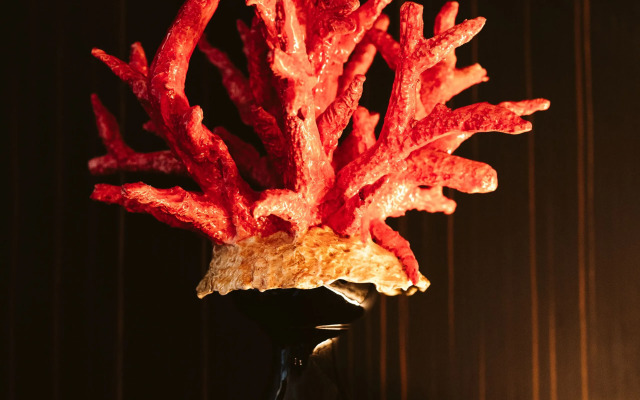 The Harbor Luxury Living