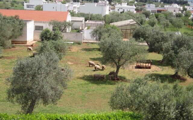 Welcome to Alberobello