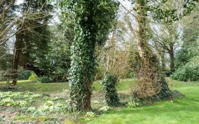 Standard Hill Cottage