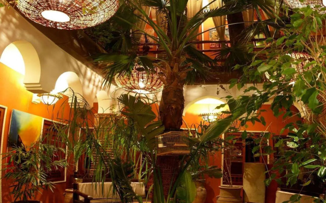 Riad CharCam - Adults Only