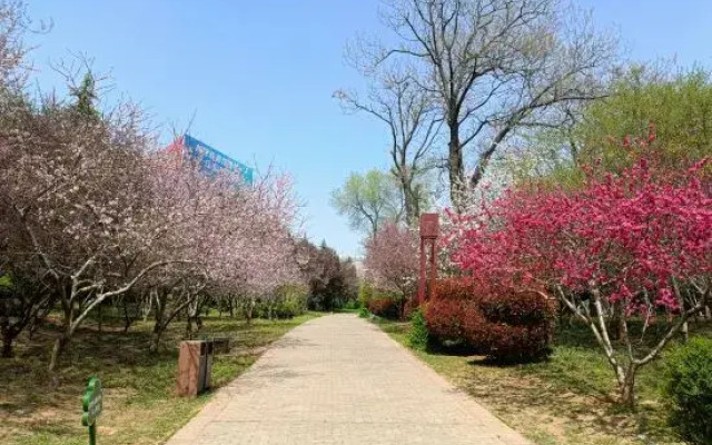 Zhongzhou Elegant Hotel（Luoyang Tianxiang Peony Garden Airport Branch）