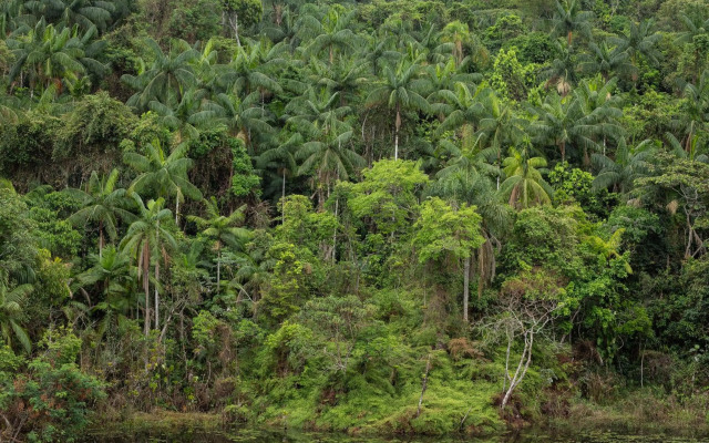 Itatiaia Resort & Eventos