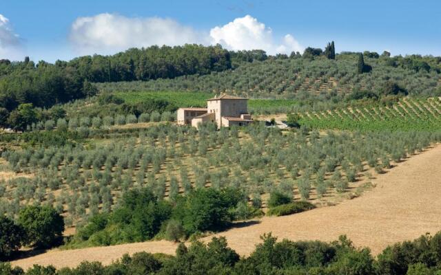 Agriturismo Il Casolare di Bucciano