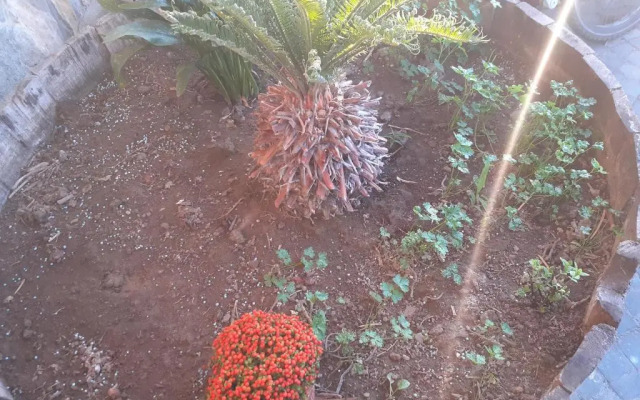 Appartamento HOUSE IDA