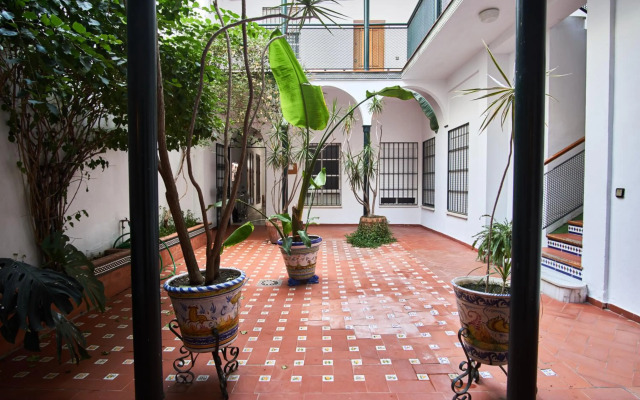 Pureza Oasis by Valcambre