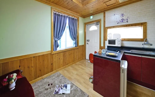 Gyeongju Euro Vill Spa Pension