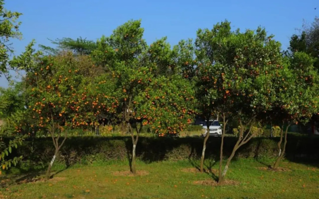 Haritma Resort